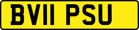 BV11PSU