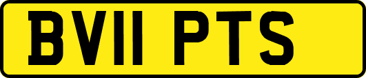 BV11PTS