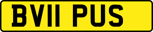 BV11PUS