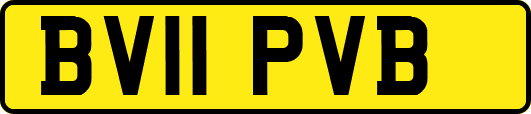 BV11PVB