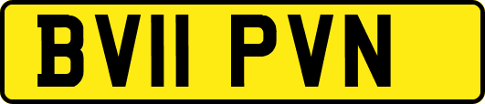 BV11PVN