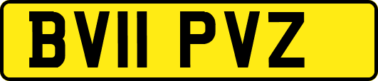 BV11PVZ