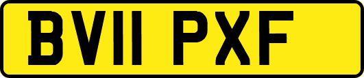 BV11PXF