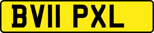 BV11PXL