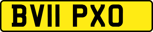 BV11PXO