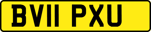 BV11PXU