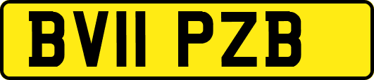 BV11PZB