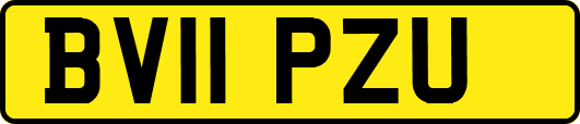 BV11PZU