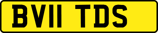 BV11TDS