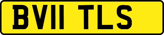 BV11TLS