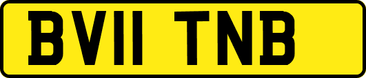 BV11TNB