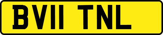 BV11TNL