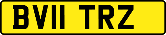 BV11TRZ