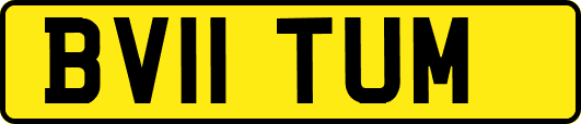 BV11TUM