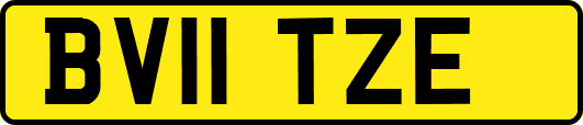 BV11TZE