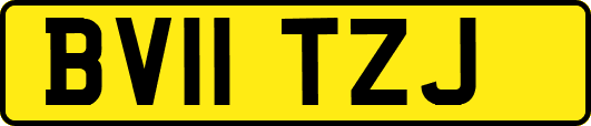 BV11TZJ