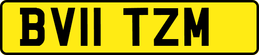 BV11TZM