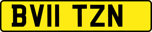 BV11TZN