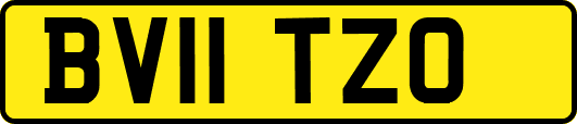 BV11TZO