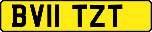 BV11TZT