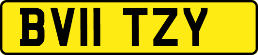 BV11TZY