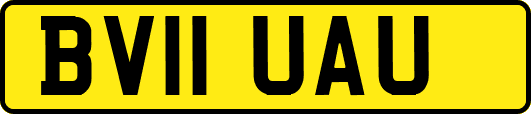 BV11UAU