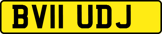 BV11UDJ