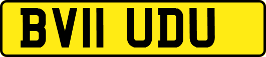 BV11UDU