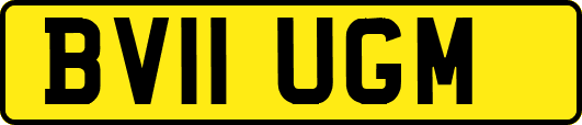 BV11UGM