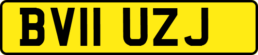 BV11UZJ