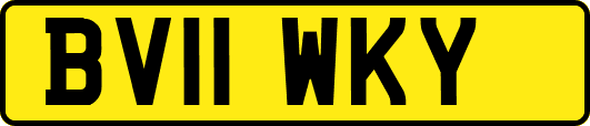 BV11WKY