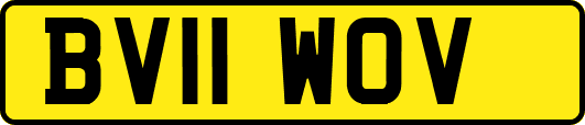 BV11WOV