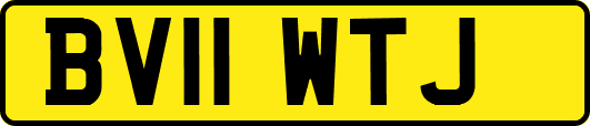 BV11WTJ