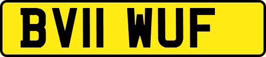 BV11WUF