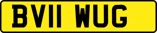 BV11WUG