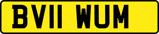 BV11WUM