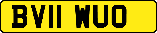 BV11WUO