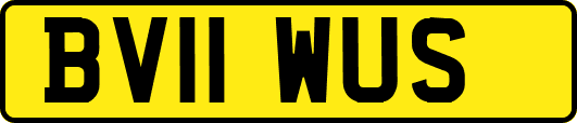BV11WUS