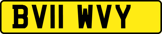 BV11WVY