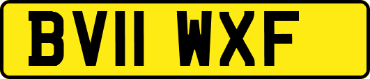 BV11WXF