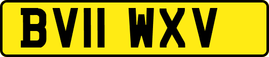 BV11WXV