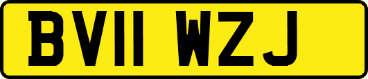 BV11WZJ