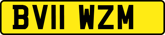 BV11WZM