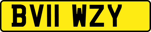 BV11WZY