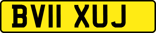 BV11XUJ