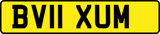 BV11XUM