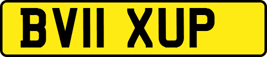BV11XUP