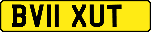 BV11XUT