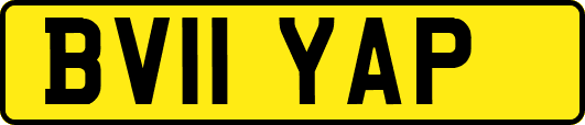 BV11YAP