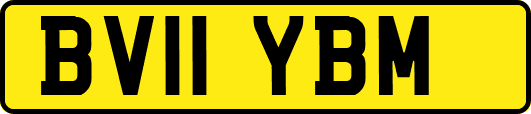 BV11YBM